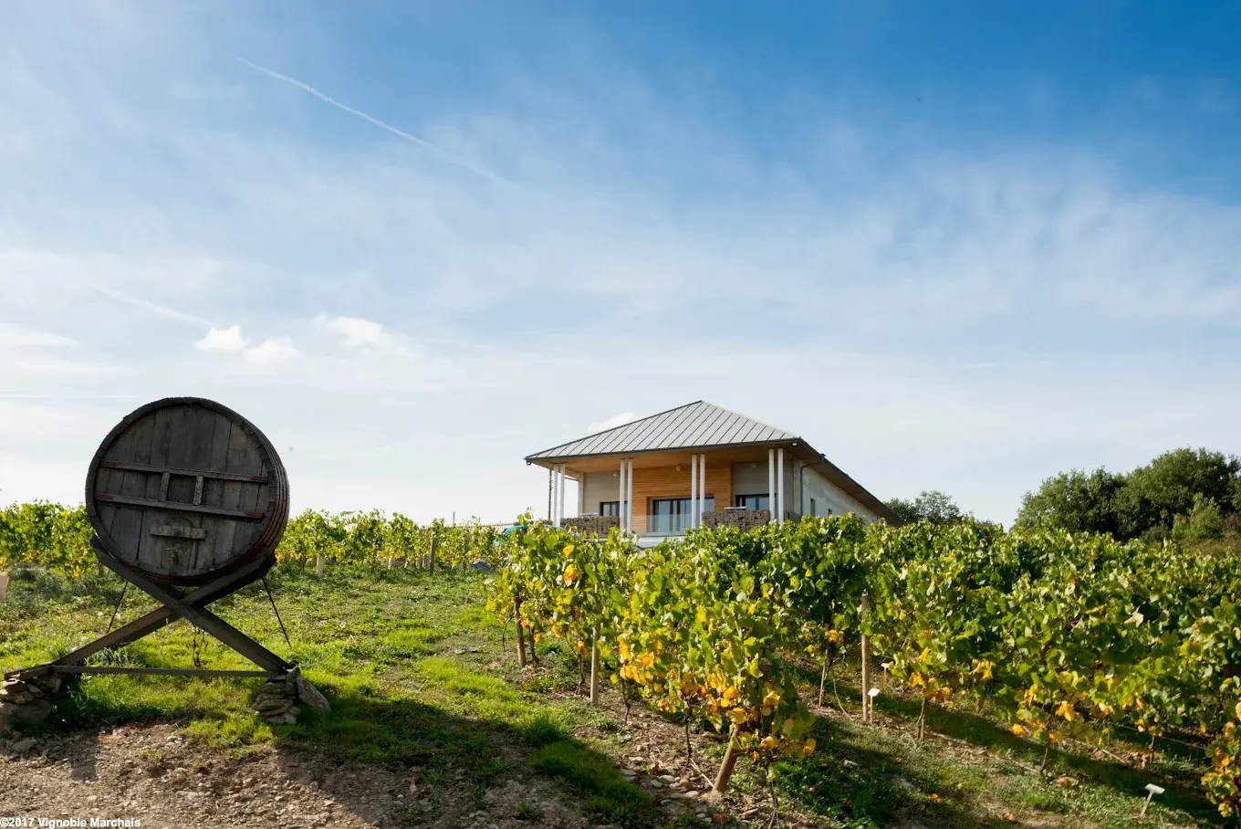 Vignoble Marchais